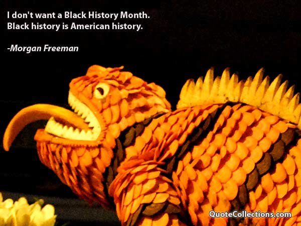 Morgan Freeman Quotes1